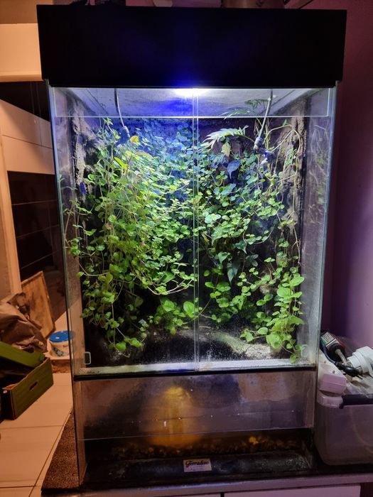 Terrarium Terradise  50x40x80