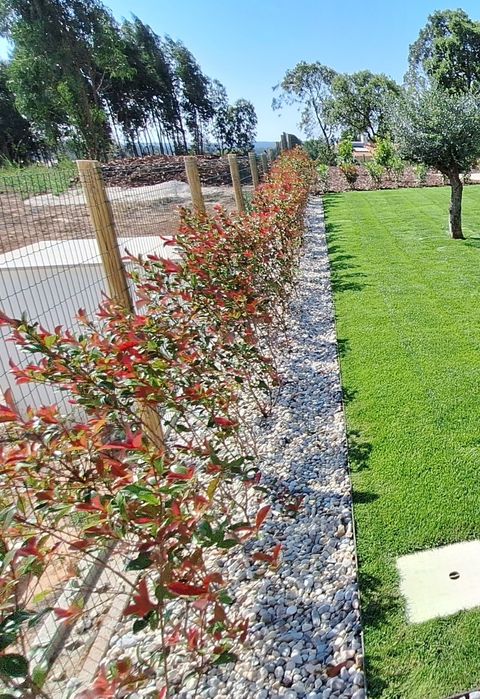 Jardinagem construção e manutenção