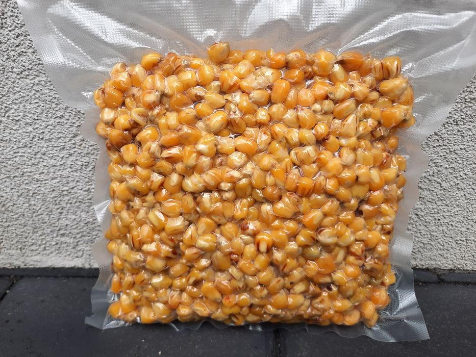 Kukurydza gotowana fermentowana 1 kg Gotowa zanęta na ryby!