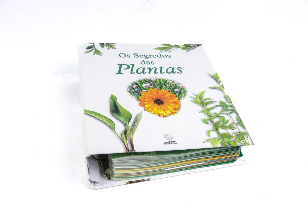 Livro Os Segredos das Plantas