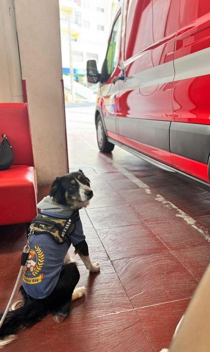 Caezinhos de 1 ano e 7 meses para adoção conjunta