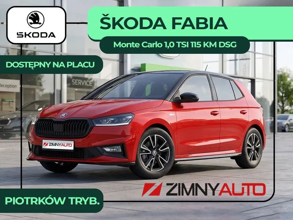 Skoda Fabia Pakiet Park & Go Basic/ Pakiet Winter Plus/ PAKIET COLOR CONCEPT BLACK