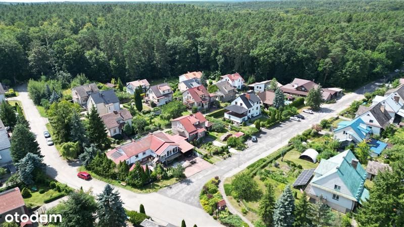 Dom pełen obrazów przy Lipowej