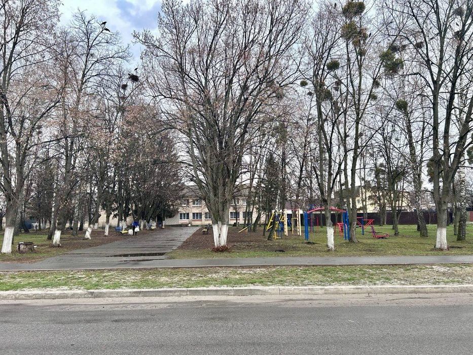 Земельна ділянка в центрі села