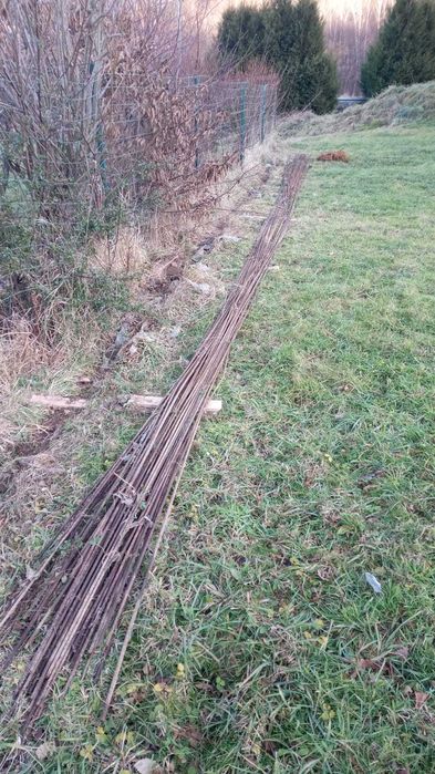 Drut zbrojeniowy i strzemiona