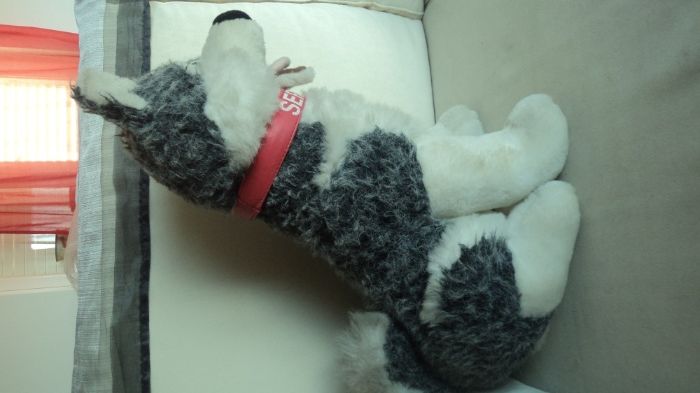 Cão de Peluche "Serra da Estrela"