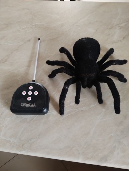Duży pająk tarantula zdalnie sterowany