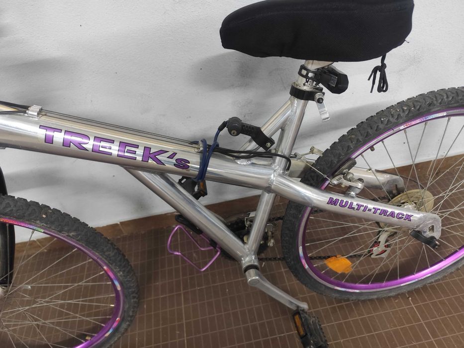 Bicicleta Trek Multi-Track – Prateada e Roxa