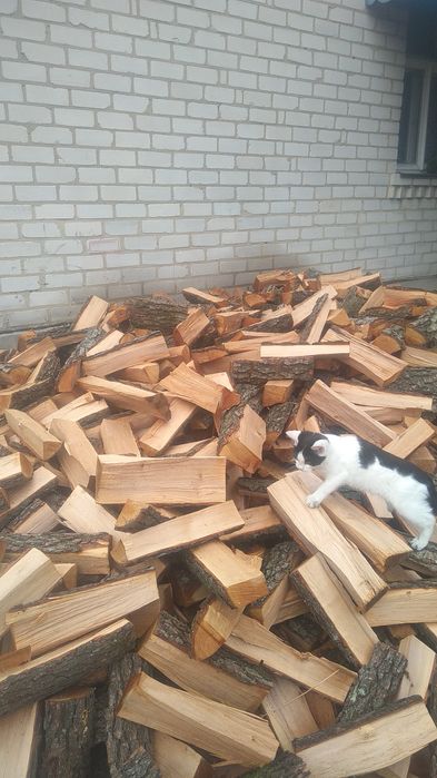 Продам дрова вільха,дуб,береза,сосна,осика.