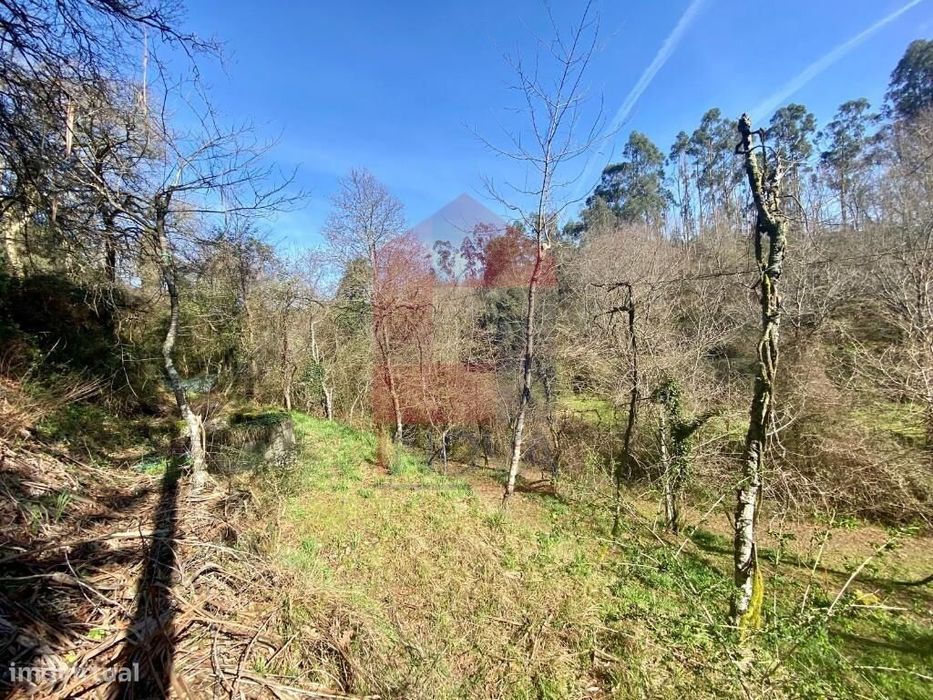 Terreno Agrícola / Florestal, Pico