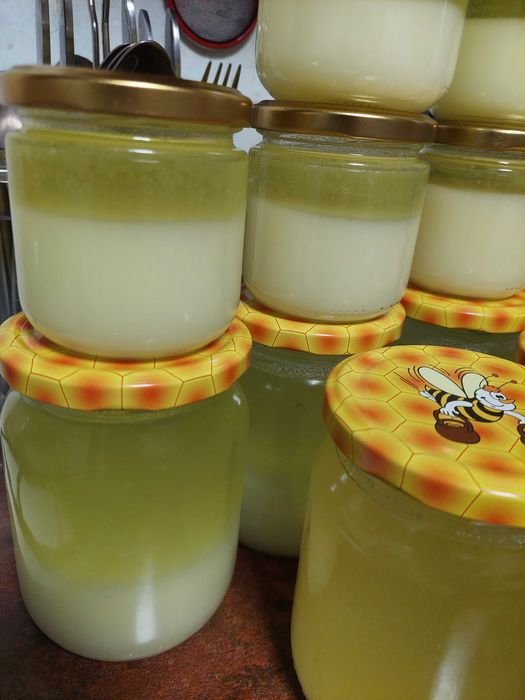 Натуральний борсучий жир | Домашнє виготовлення | Висока якість