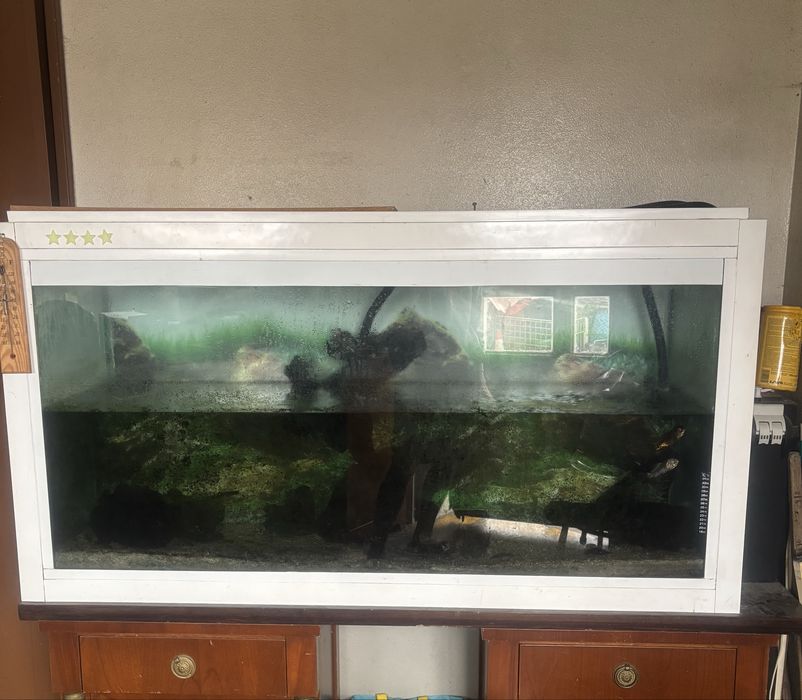 Aquario 300 litros