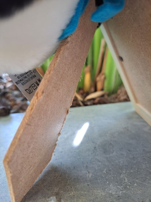 Moldura azul de madeira com Panda de peluche