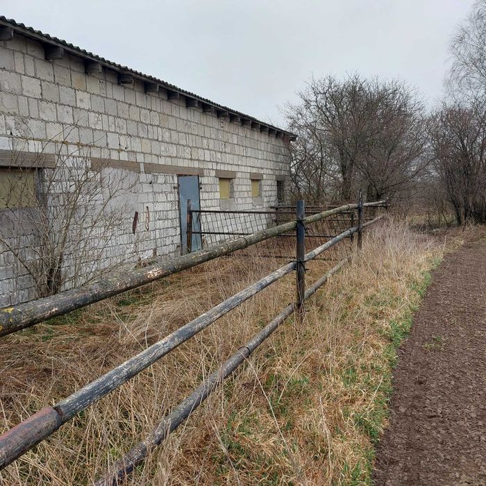 Wygrodzenia rury metalowe dla bydła