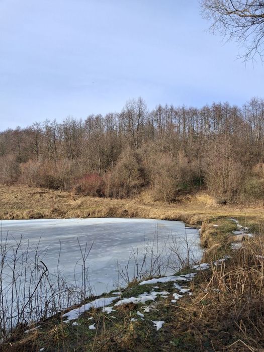 Продаж ділянки під будівництво в с.Шоломинь.