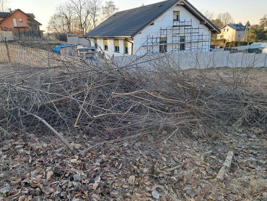 Oddam gałęzie drewno