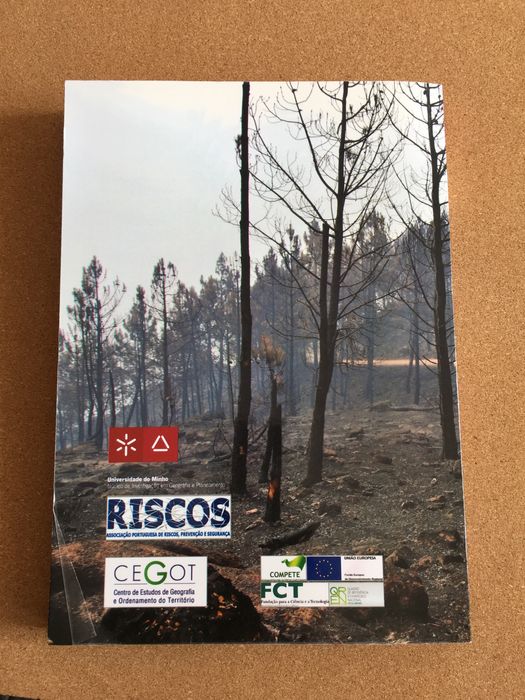 Grandes Incêndios Florestais - NIGP