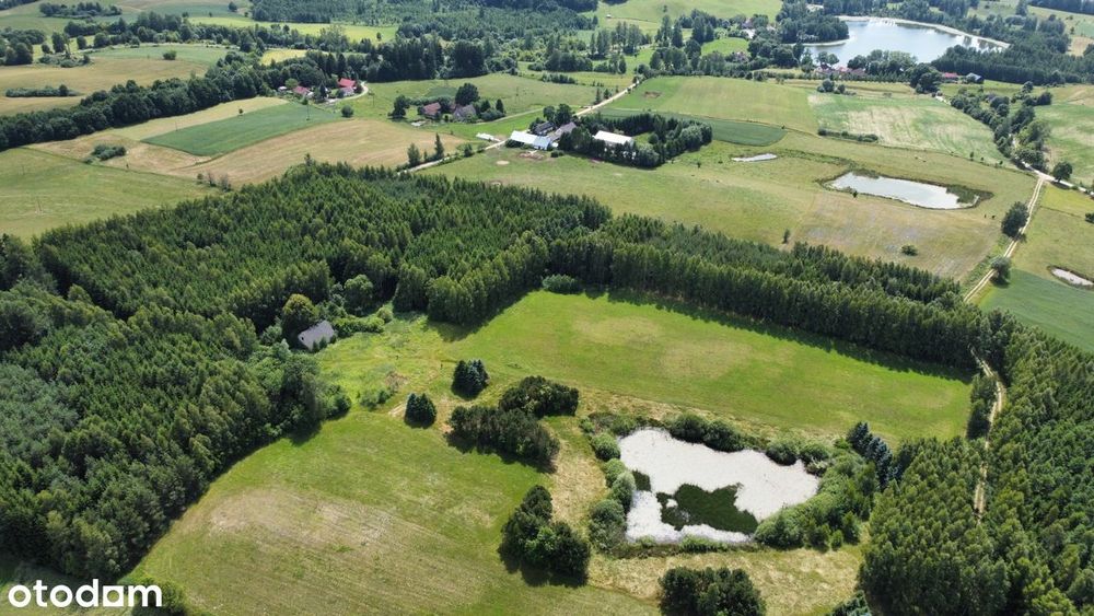 Dubeninki - unikatowe siedlisko w lesie - 11 ha