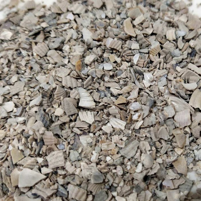 Ракушка кормова морська ціна за 10 кг