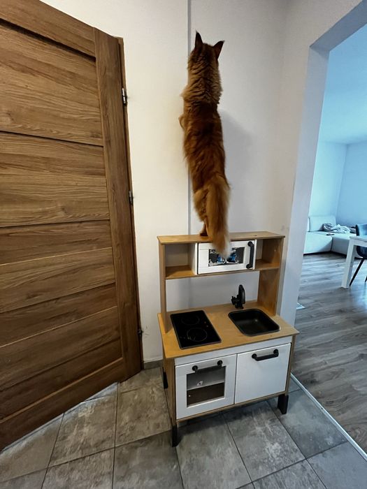 Kuchnia dziecięca IKEA Duktig