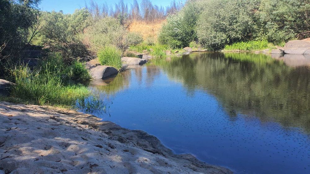 Propriedade com 6ha à Beira do Rio Mondego