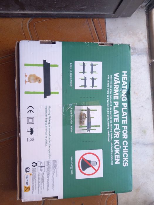 Placa de aquecimento para pintos e patinhos 3