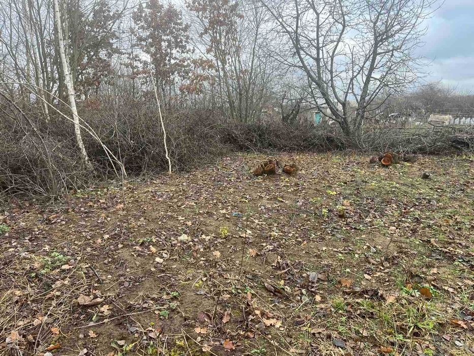 (5) Продаж ділянки в с.Некрасово 9793