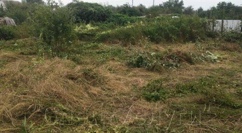 Розчистка ділянок, прибирання територій під ключ