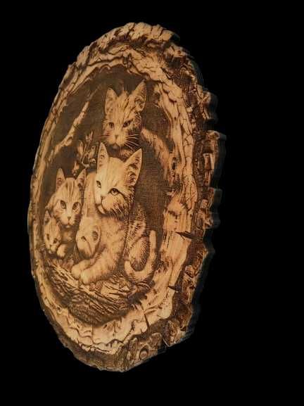 Kotki obraz wypalany w drewnie 3d iluzja