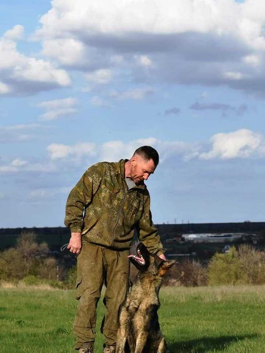 дресирувальний центр Wolf'sfelzem, кінолог, пансіон