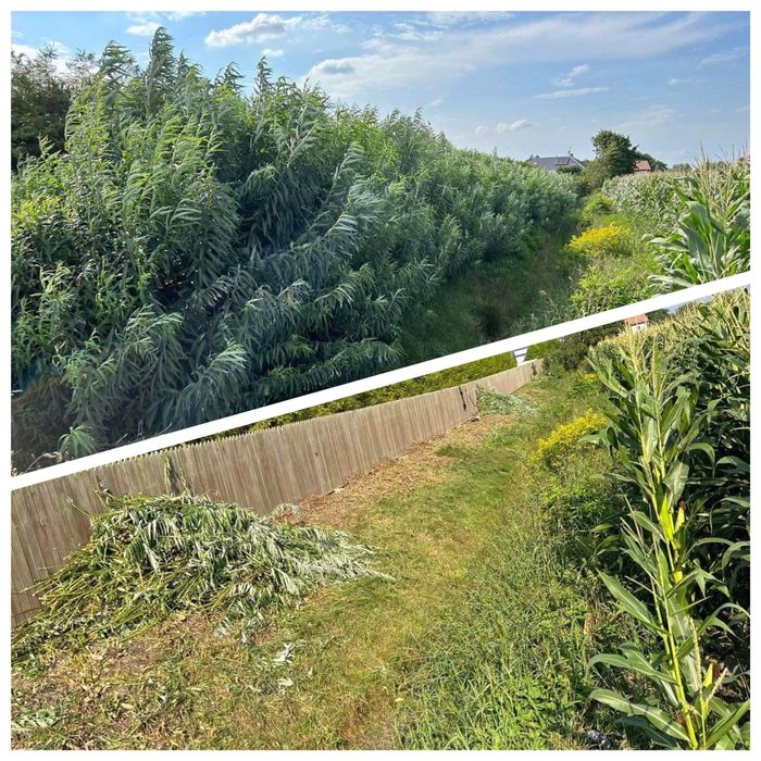 Usługi ogrodnicze komplekosowe zakladanie ogrodów