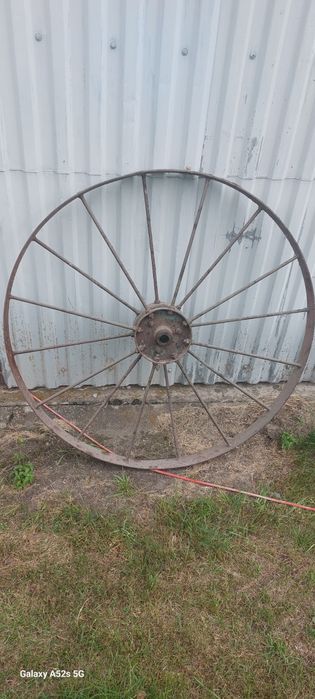 Ķola ozdobne lub do siewnika