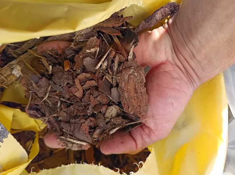 KORA SOSNOWA ogrodowa 80L MIX wielkości różne wymiary MIX