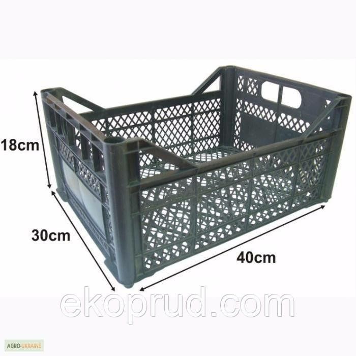 Ящики пластмасові .Ящики пластикові.