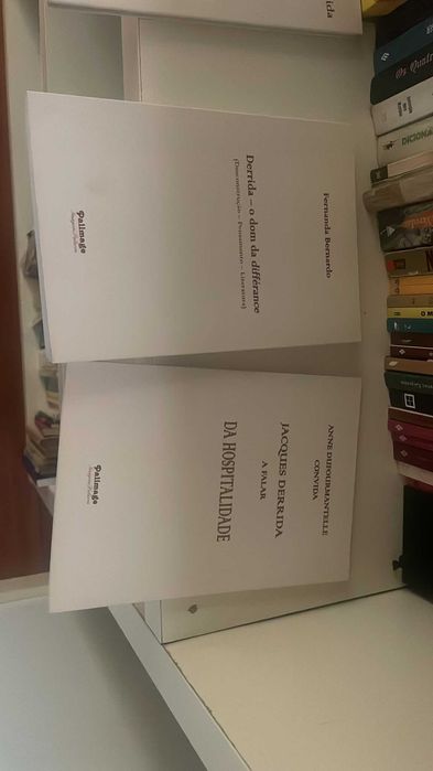 Jacques Derrida - New Book Bundle