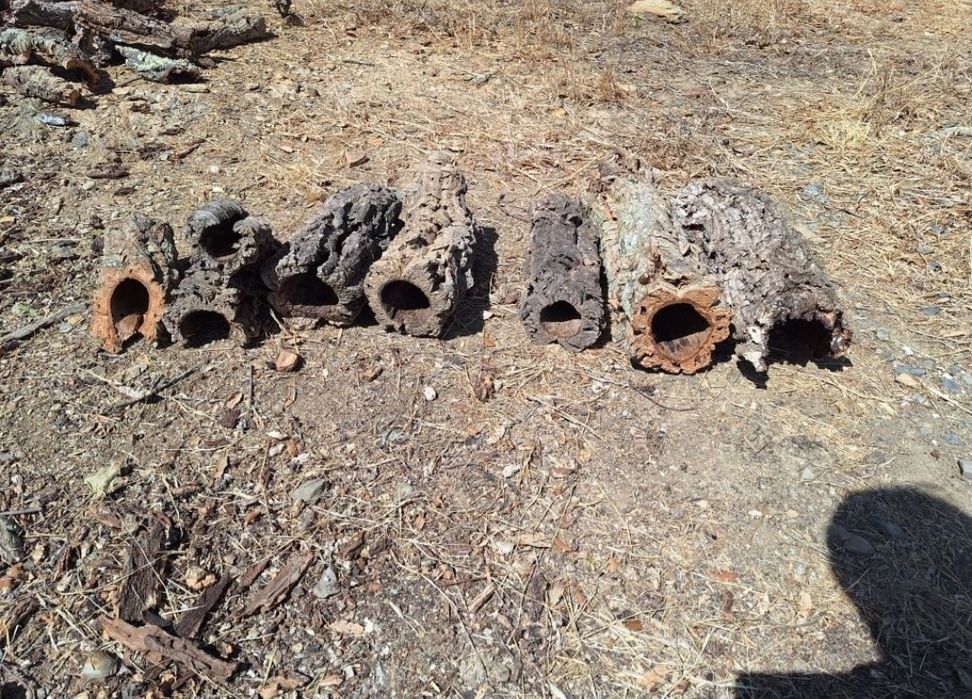 Tubos de cortiça 100% natural – Ideal para terrários e decoração