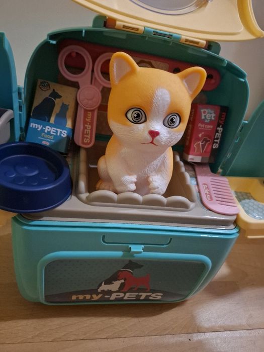 Kot w transporterze