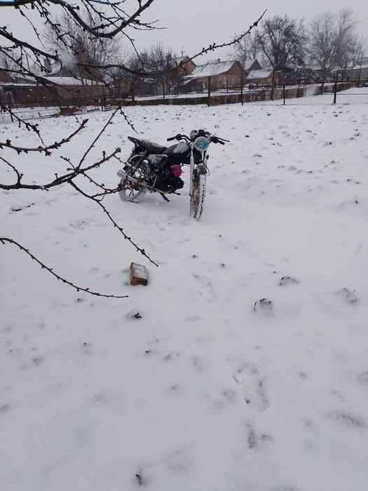 Продам мопед альфа 110