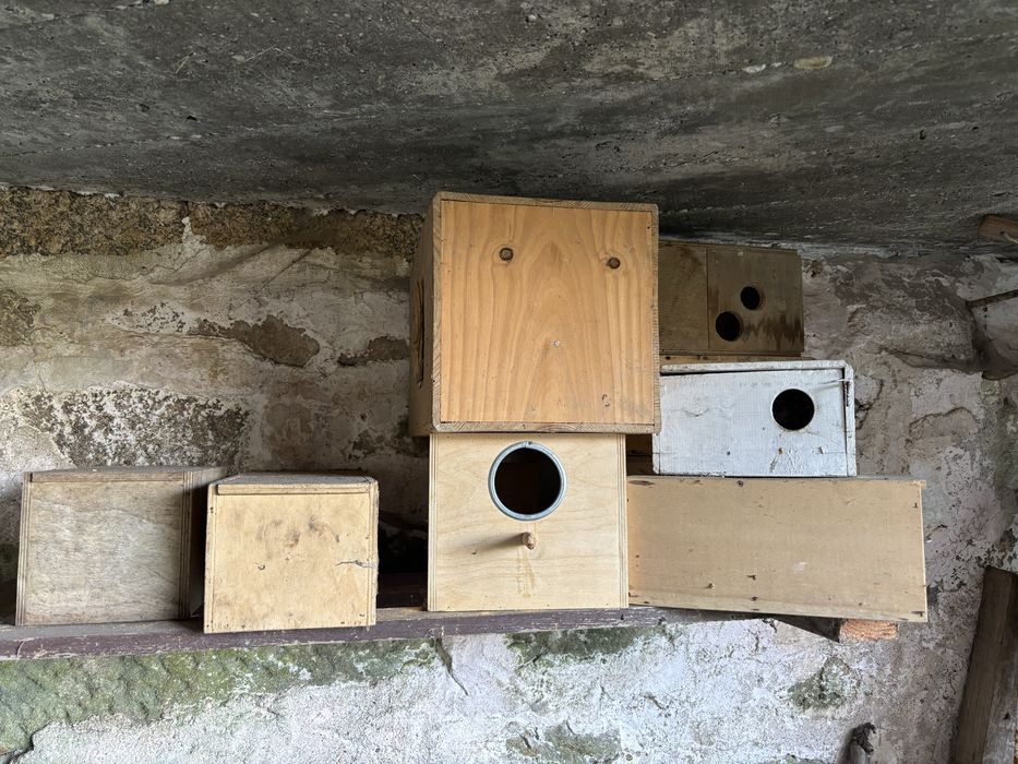 Gaiolas ninhos e acessorios