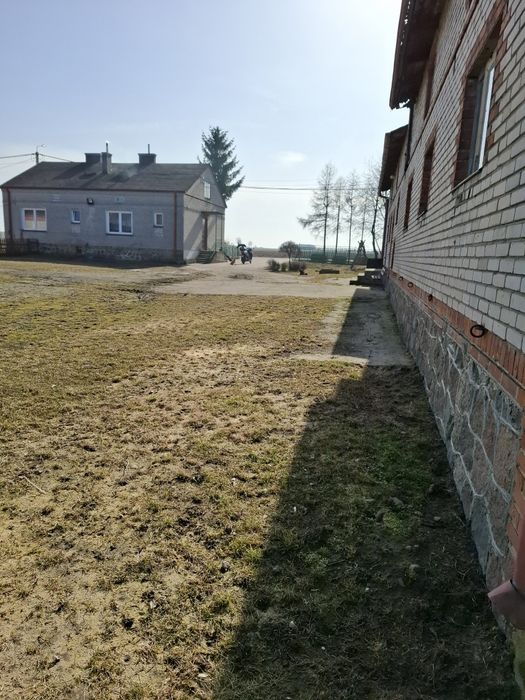 Dom,gospodarstwo, zabudowa, działka - View 5