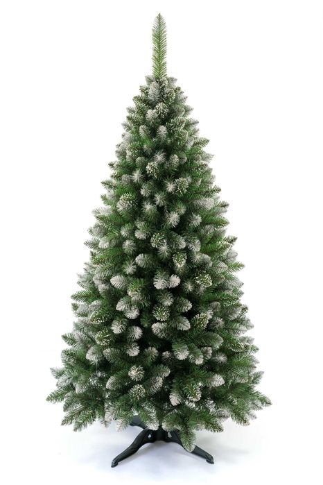 Sosna Diamentowa 100cm - model na 2025 rok - producent