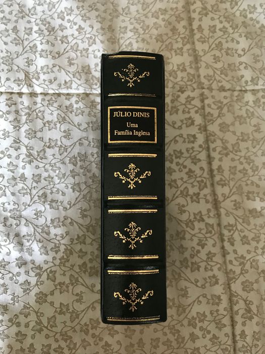 Livro Uma Familia Inglesa de Júlio Dinis