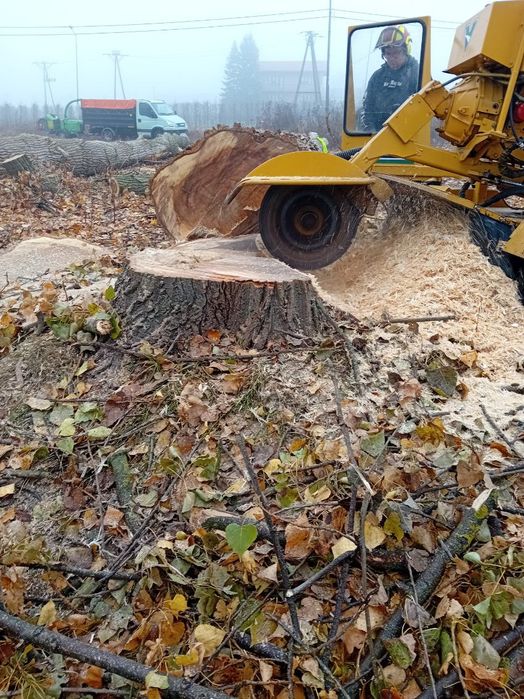 Wycinka Drzew/Czyszczenie Działek/Zrębkowanie gałęzi/Koszenie