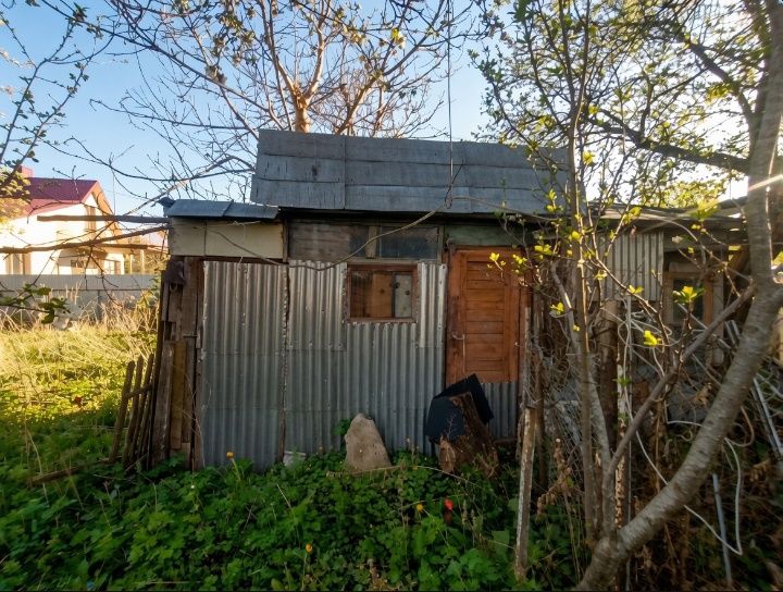 • Продам дачу , поруч ліс!