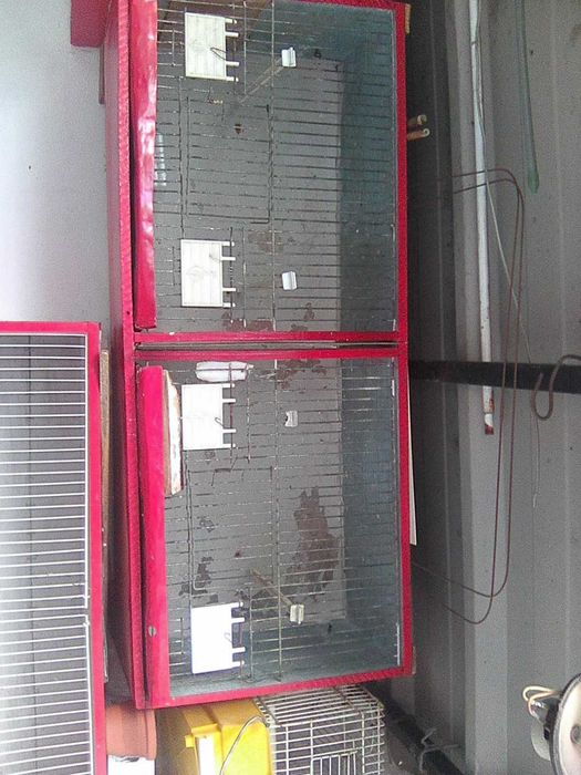 Gaiolas viveiro  para criação de aves de pequeno porte.