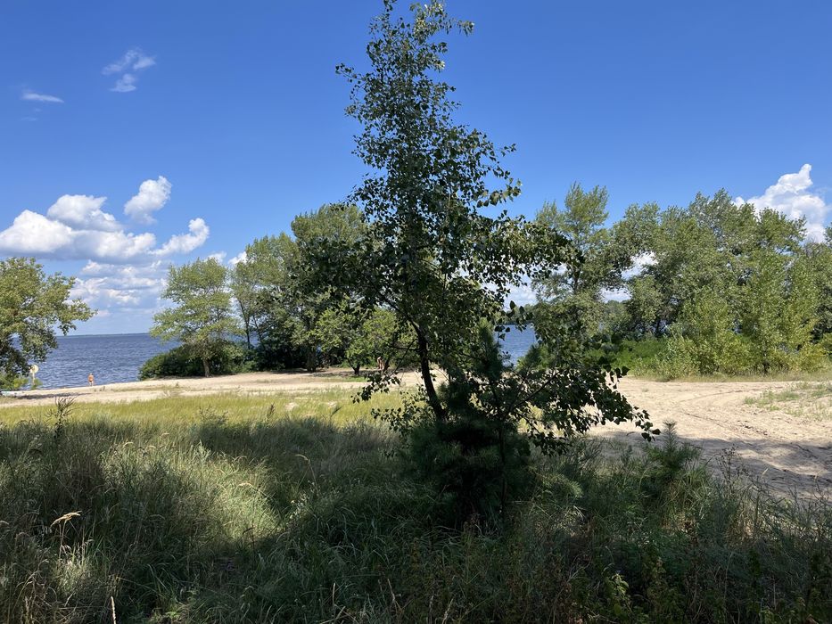 Таунхауси в Соснівці від забудовника з автоновним газовим опаленням!