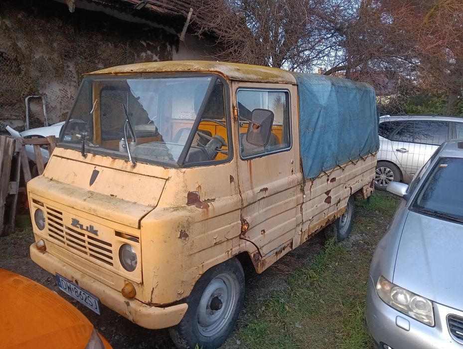 Żuk