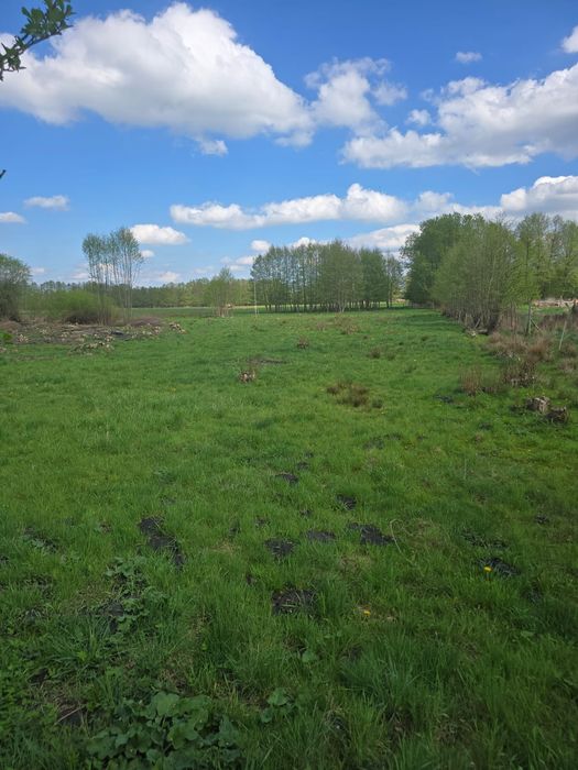 Działka Glinik 22 a - Widok 5