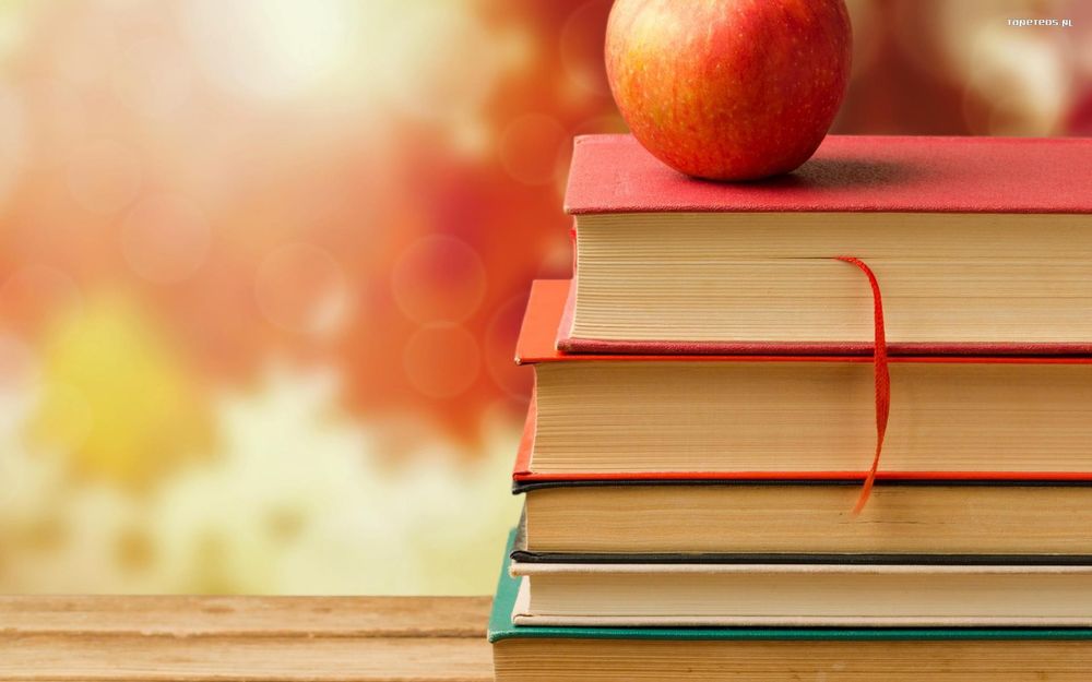 Język polski korepetycje Toruń MATURA, EGZAMIN 8klasa EGZAMINATOR