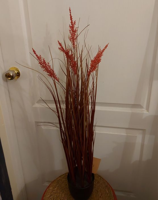 Рослина трава пампасна очерет штучна 90 см